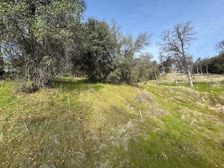 0 Whitto Mine Rd, Sonora, CA 95370