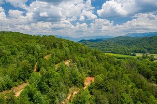 00 Maltby Rd, Marble, NC 28905