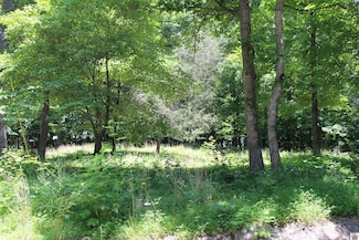 000 Perry Springs Rd, Eddyville, KY 42038