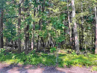 TBD Bridge St, Little Traverse Township, MI 49740