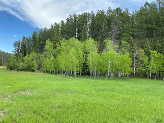 Lot 5 Block 2 Benchmark Rd, South Lawrence, SD 57759