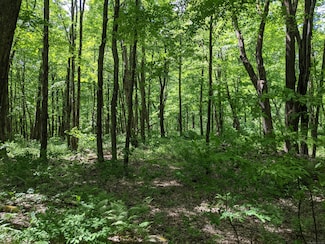 00 Old Homestead Ln, Kent, CT 06757