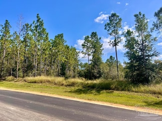 Lot 30 Morgan Ln, Molino, FL 32577
