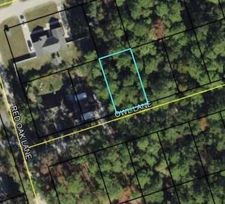 Lot 58 Owl Ln, Crawfordville, FL 32327
