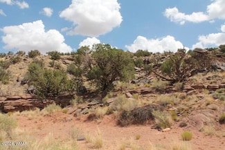 9170 Pueblo Ln, Snowflake, AZ 85937
