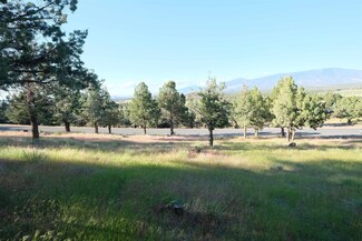 Unit 9-1 Lot 53 Palomino Rd Unit 9-1, Lake Shastina, CA 96094