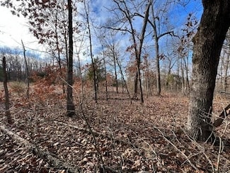 1517 Council Dr, Horseshoe Bend, AR 72512