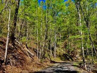 0 South Dr Unit 51 CAR4245138, Lake Lure, NC 28746