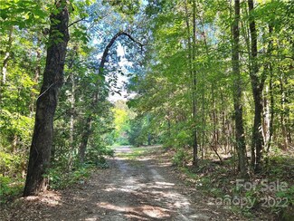 1955 Connor Rd, Chester, SC 29706