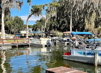 13222 Grape Ave, Grand Island, FL 32735