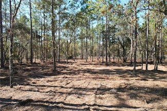 0 NE 93rd Terrace Unit MFRO6363163, Archer, FL 32618