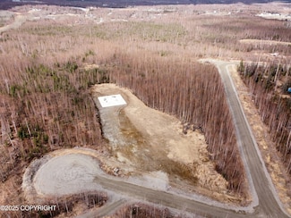 L9 B5 W Pinckney Dr, Wasilla, AK 99654