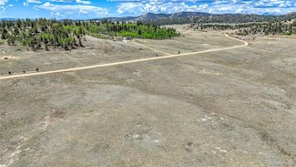 4332 Goldenburg Canyon Rd, Hartsel, CO 80449