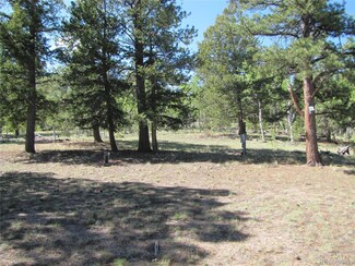 1132 Brahma Cir, Hartsel, CO 80449