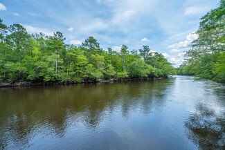 100 Hannibal Trail, Ridgeville, SC 29472