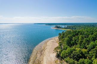 0 Fm 705, Broaddus, TX 75929