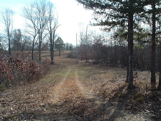 000 County Road 3810, West Plains, MO 65775