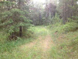 3921 Taylor Ranch Way, Loon Lake, WA 99148