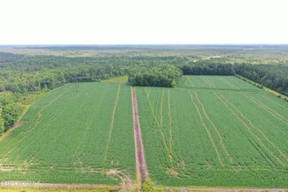 0 Pelham Rd, Watha, NC 28478