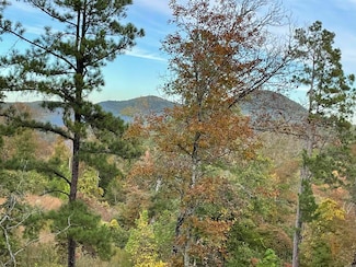 850 Jones Cemetery Rd, Calico Rock, AR 72519
