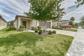 5935 Sweet Birch Dr, Riverview, FL 33578