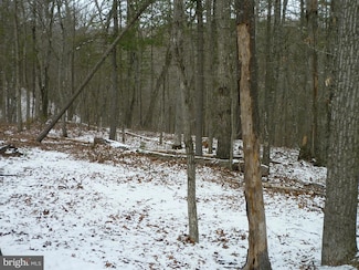 0 Killmon Rd Unit VASH2010712, Basye, VA 22810