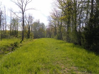 00 Wilson Rd, MacEdon, NY 14502