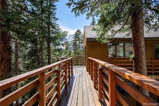 307 Lakeview Dr, Alma, CO 80420