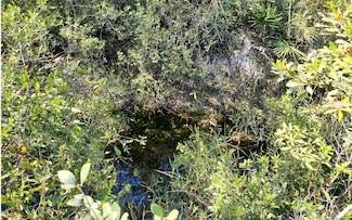 0 Wire Rd Unit 121584, Lee, FL 32539