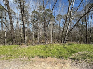 0000 Saddle Surrey, Coldspring, TX 77331