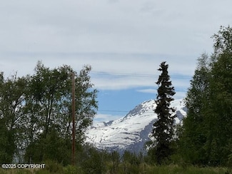 22329 E Clare Way, Knik River, AK 99645