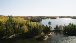 Lot 8 & 9 Wakemup Narrows N, Beatty Township, MN 55771