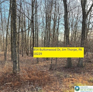 54 Buttonwood Dr, Penn Forest Township, PA 18229