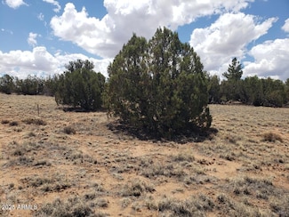 3933 Hidden Ranch Rd Unit 56, Snowflake, AZ 85937