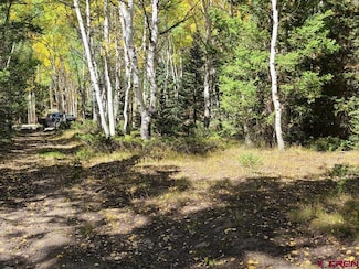 271 Crest Dr, Cimarron, CO 81220