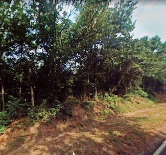 0 San Saba Rd, Mount Vernon, TX 75457