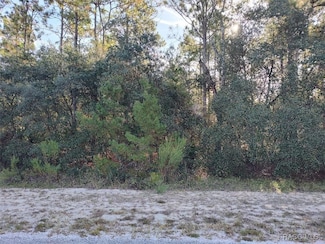 5417 N Crossgate Point, Beverly Hills, FL 34465