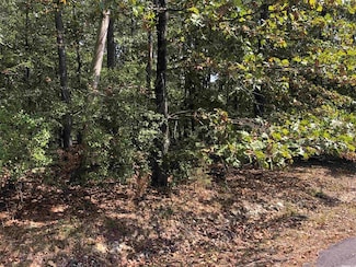 8 Loyola Way, Hot Springs Village, AR 71909