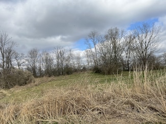 917 1st Ave, Mount Pleasant, TN 38474