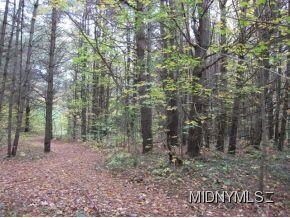5 AC Peck Rd, Salisbury Center, NY 13454