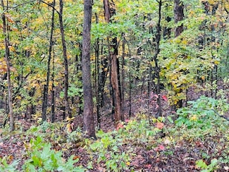 0 Runcorn Ln, Bella Vista, AR 72714