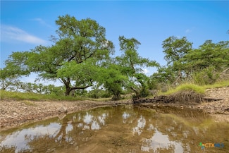65 Miles Ln, Harper, TX 78631