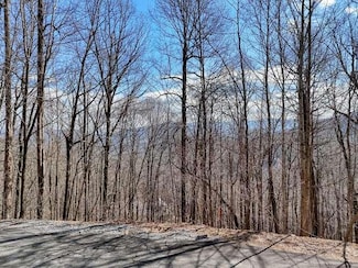 Lot 37 Overlook Dr, Young Harris, GA 30582