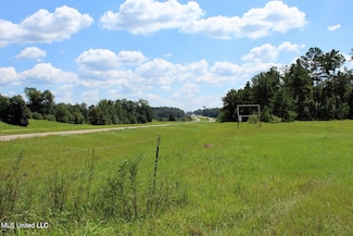 9.8 Acres Highway 98, Lucedale, MS 39452