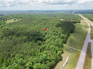 0 Highway 82 Unit 168771, Centreville, AL 35042
