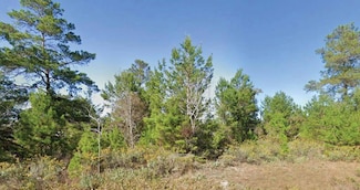 0 Dumajack Rd Unit MFRO6325918, Chipley, FL 32428