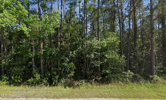 00 Comanche St, Kiln, MS 39556