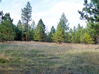TBD Jack Pine Rd, White Bird, ID 83554
