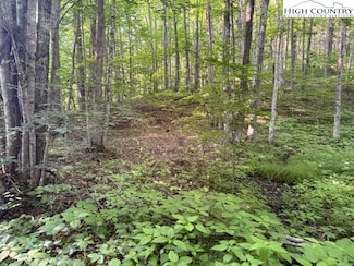 Lot 56 & 57 Beechwood Cir, Creston, NC 28615