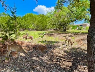 21422 Patton Ave, Lago Vista, TX 78645